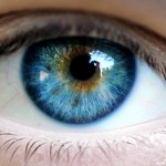 beauty-eye