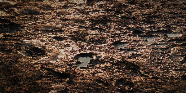 oilsludge